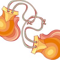 Teresa Laiz logo vector CORREGIDO