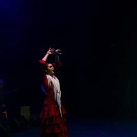 con-el-flamenco-en-sus-tacones03