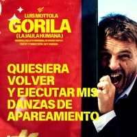 gorila-la-jaula-humana06