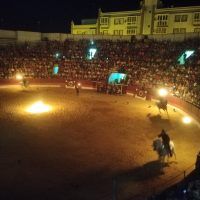 musica-y-danza-de-los-caballos-andaluces (4)